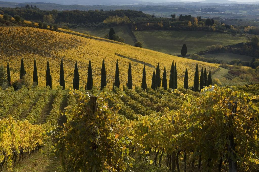 Agriturismo Campo Lungo San Donato in Poggio Quarto foto